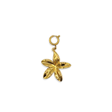 Hanger Flower Lily